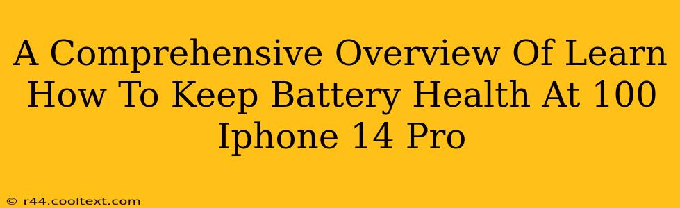 A Comprehensive Overview Of Learn How To Keep Battery Health At 100 Iphone 14 Pro