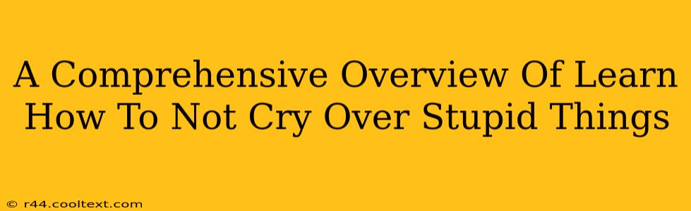 A Comprehensive Overview Of Learn How To Not Cry Over Stupid Things