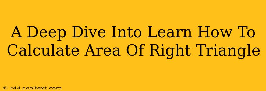 A Deep Dive Into Learn How To Calculate Area Of Right Triangle