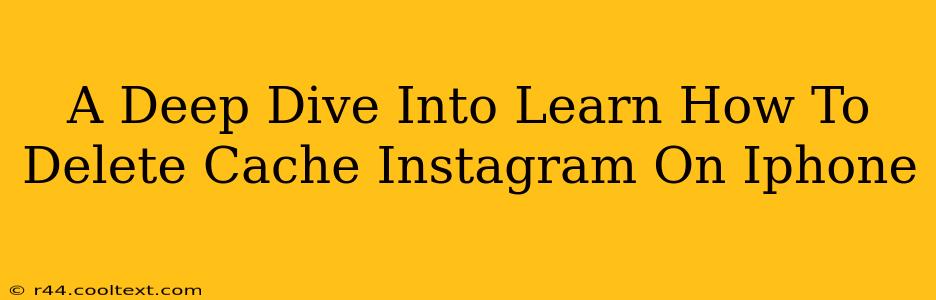 A Deep Dive Into Learn How To Delete Cache Instagram On Iphone