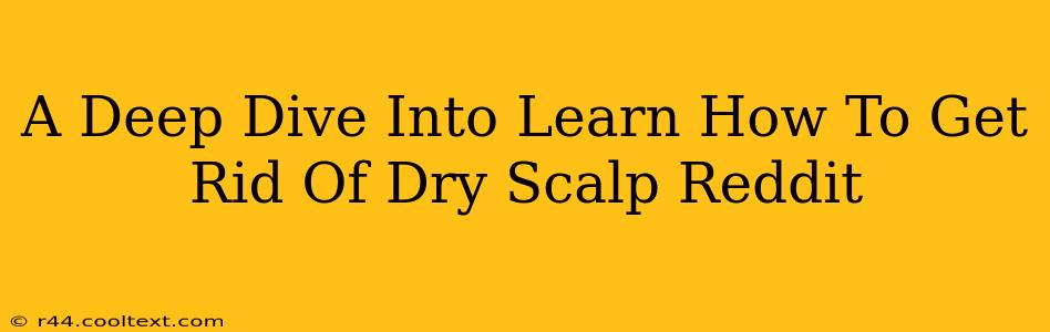 A Deep Dive Into Learn How To Get Rid Of Dry Scalp Reddit