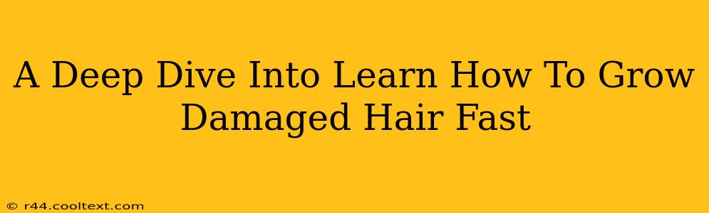 A Deep Dive Into Learn How To Grow Damaged Hair Fast