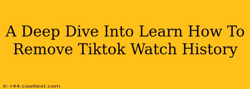 A Deep Dive Into Learn How To Remove Tiktok Watch History