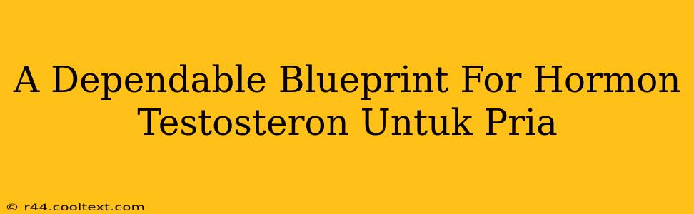 A Dependable Blueprint For Hormon Testosteron Untuk Pria