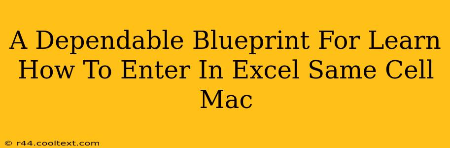 A Dependable Blueprint For Learn How To Enter In Excel Same Cell Mac