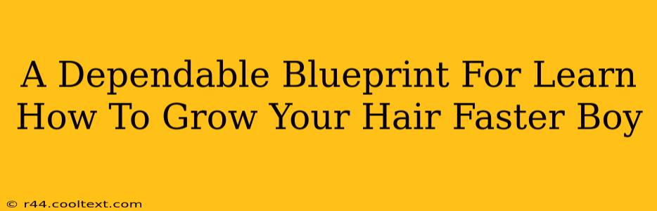 A Dependable Blueprint For Learn How To Grow Your Hair Faster Boy