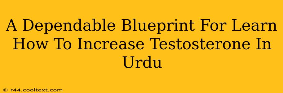 A Dependable Blueprint For Learn How To Increase Testosterone In Urdu