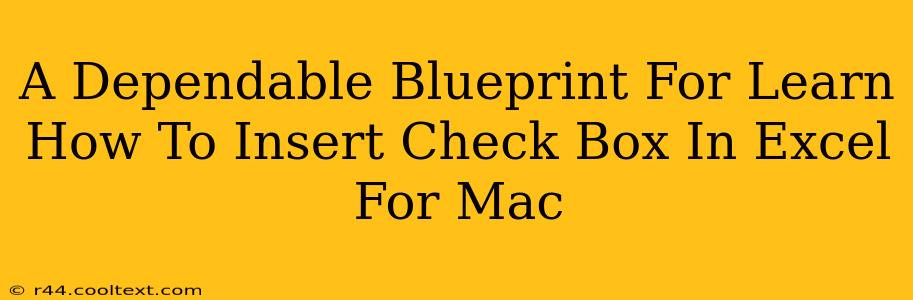 A Dependable Blueprint For Learn How To Insert Check Box In Excel For Mac