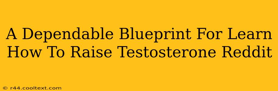 A Dependable Blueprint For Learn How To Raise Testosterone Reddit