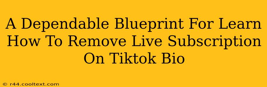 A Dependable Blueprint For Learn How To Remove Live Subscription On Tiktok Bio