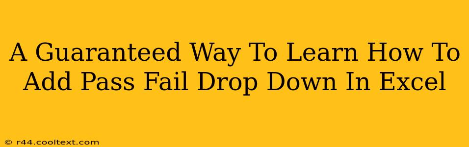 A Guaranteed Way To Learn How To Add Pass Fail Drop Down In Excel