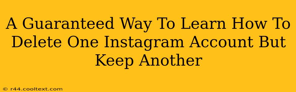 A Guaranteed Way To Learn How To Delete One Instagram Account But Keep Another