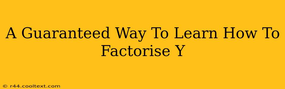 A Guaranteed Way To Learn How To Factorise Y