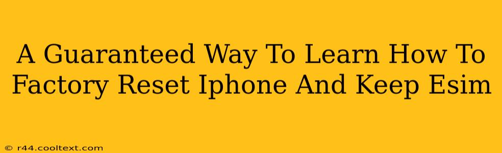 A Guaranteed Way To Learn How To Factory Reset Iphone And Keep Esim