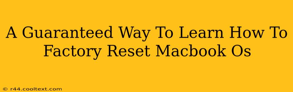 A Guaranteed Way To Learn How To Factory Reset Macbook Os