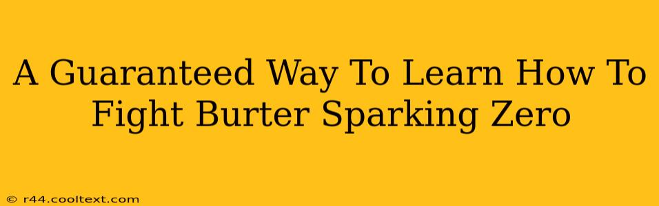 A Guaranteed Way To Learn How To Fight Burter Sparking Zero