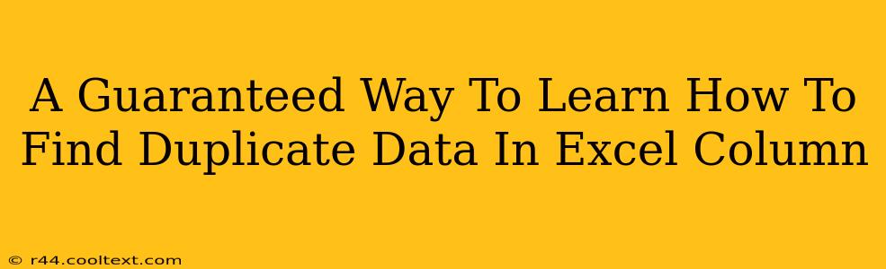 A Guaranteed Way To Learn How To Find Duplicate Data In Excel Column