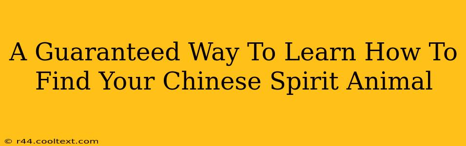 A Guaranteed Way To Learn How To Find Your Chinese Spirit Animal