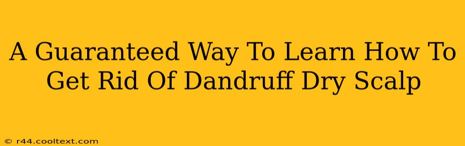 A Guaranteed Way To Learn How To Get Rid Of Dandruff Dry Scalp