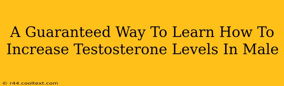 A Guaranteed Way To Learn How To Increase Testosterone Levels In Male