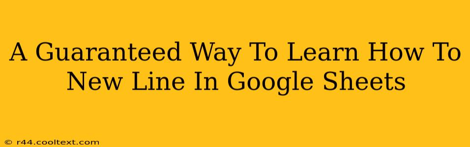 A Guaranteed Way To Learn How To New Line In Google Sheets