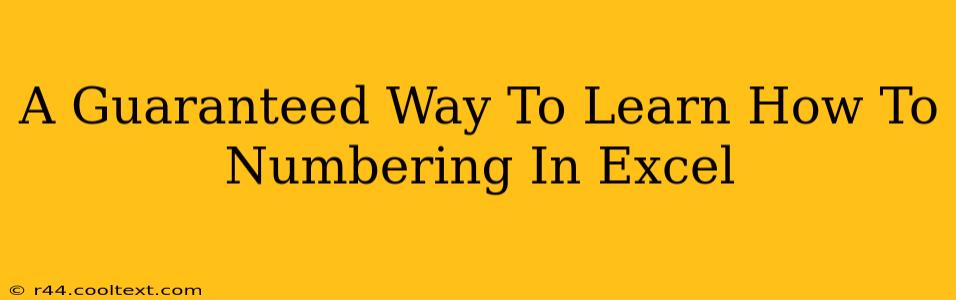 A Guaranteed Way To Learn How To Numbering In Excel