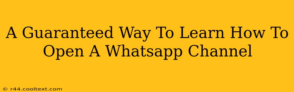 A Guaranteed Way To Learn How To Open A Whatsapp Channel