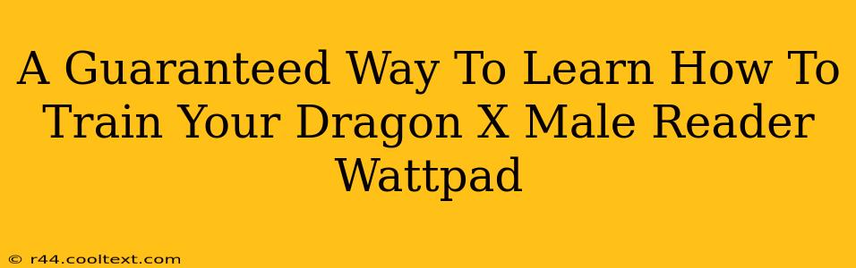 A Guaranteed Way To Learn How To Train Your Dragon X Male Reader Wattpad