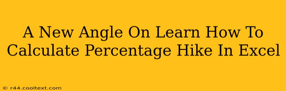 A New Angle On Learn How To Calculate Percentage Hike In Excel