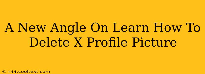 A New Angle On Learn How To Delete X Profile Picture