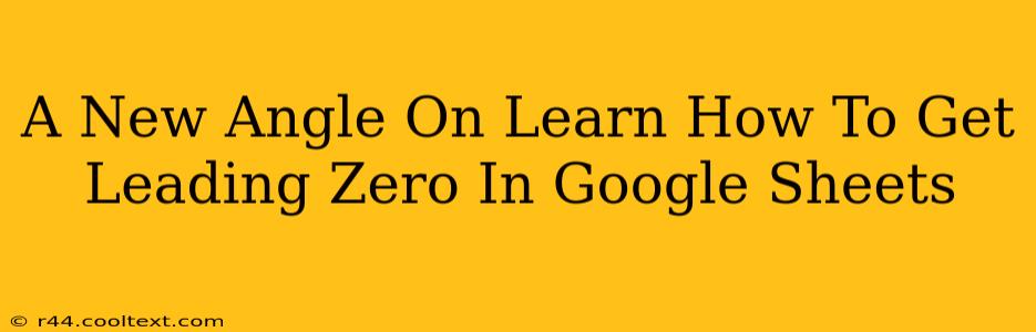 A New Angle On Learn How To Get Leading Zero In Google Sheets