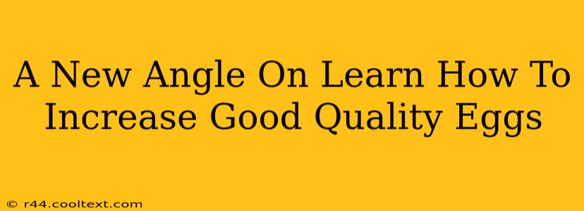 A New Angle On Learn How To Increase Good Quality Eggs