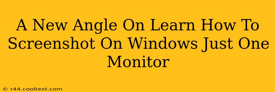 A New Angle On Learn How To Screenshot On Windows Just One Monitor