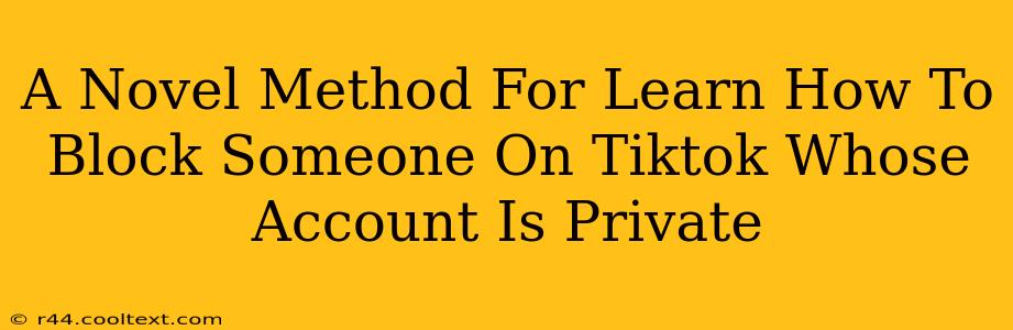 A Novel Method For Learn How To Block Someone On Tiktok Whose Account Is Private