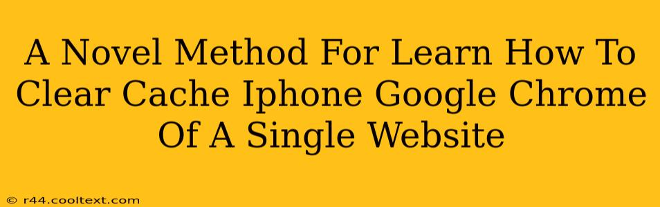 A Novel Method For Learn How To Clear Cache Iphone Google Chrome Of A Single Website