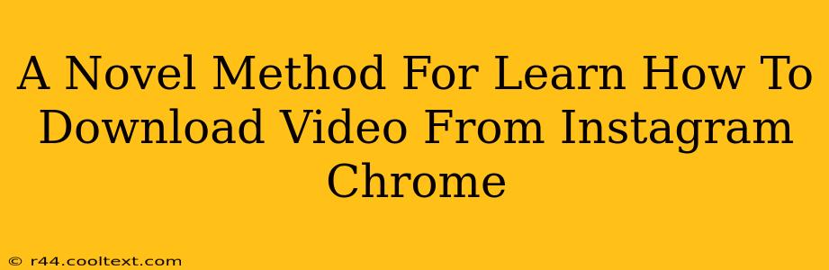 A Novel Method For Learn How To Download Video From Instagram Chrome