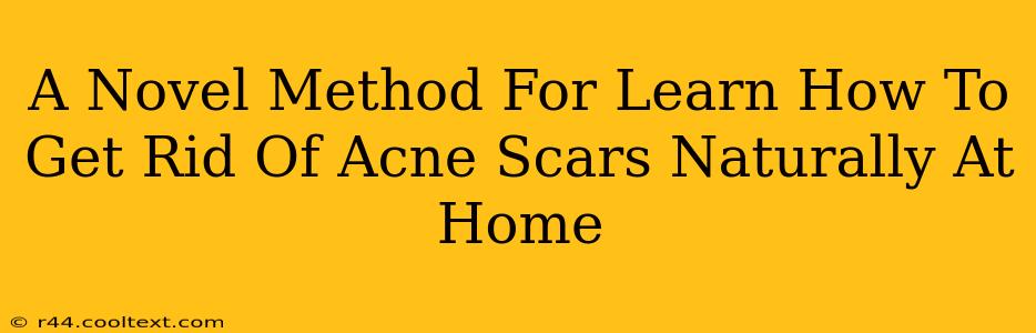 A Novel Method For Learn How To Get Rid Of Acne Scars Naturally At Home