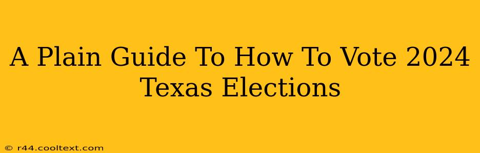 A Plain Guide To How To Vote 2024 Texas Elections