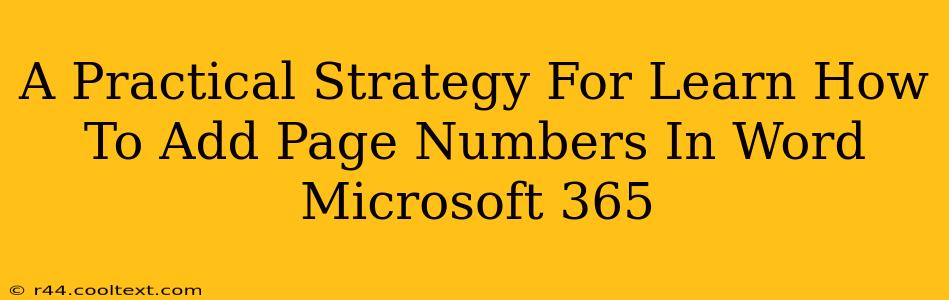 A Practical Strategy For Learn How To Add Page Numbers In Word Microsoft 365