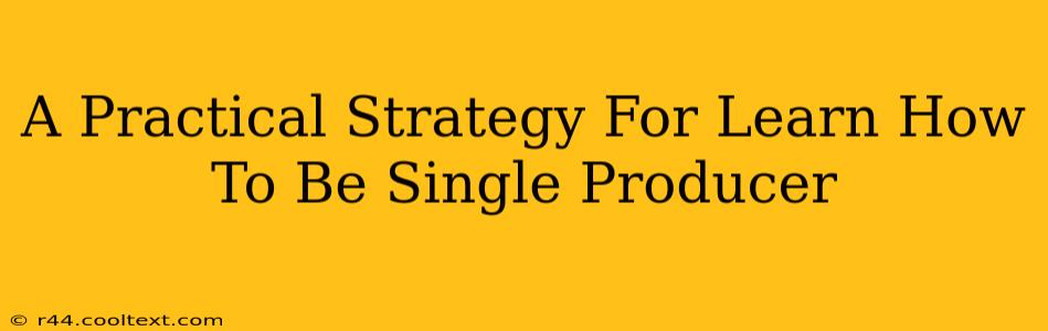 A Practical Strategy For Learn How To Be Single Producer