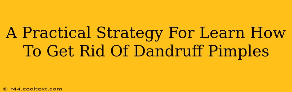 A Practical Strategy For Learn How To Get Rid Of Dandruff Pimples