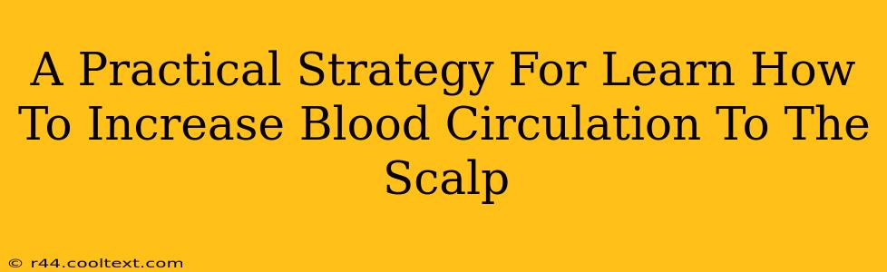 A Practical Strategy For Learn How To Increase Blood Circulation To The Scalp