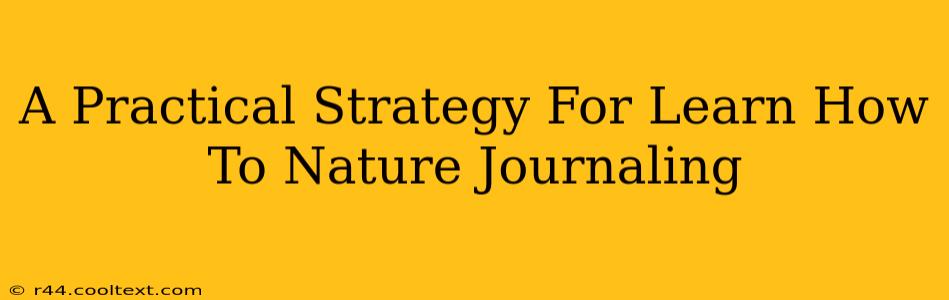 A Practical Strategy For Learn How To Nature Journaling