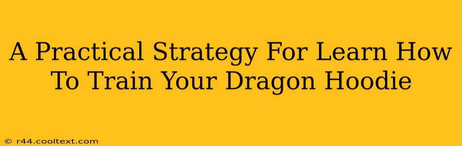 A Practical Strategy For Learn How To Train Your Dragon Hoodie