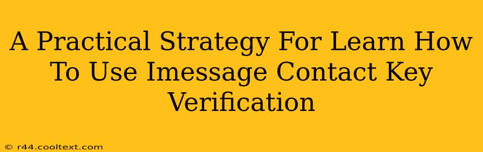 A Practical Strategy For Learn How To Use Imessage Contact Key Verification