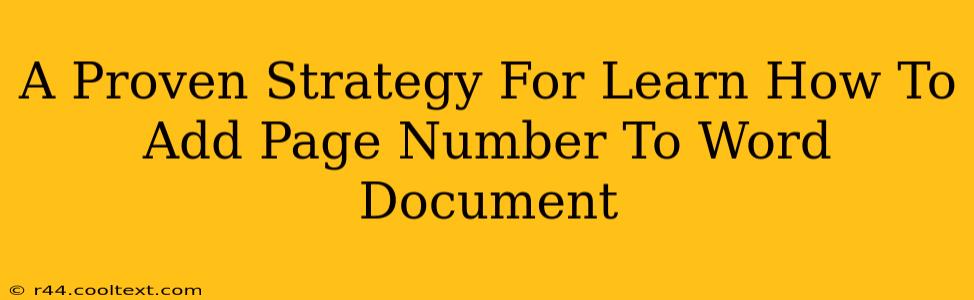 A Proven Strategy For Learn How To Add Page Number To Word Document