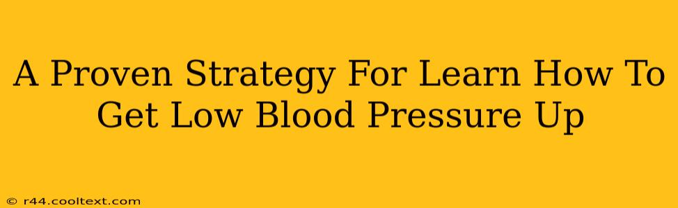 A Proven Strategy For Learn How To Get Low Blood Pressure Up