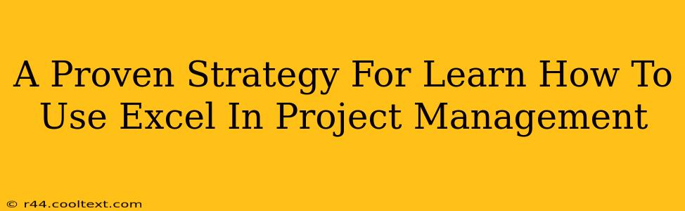 A Proven Strategy For Learn How To Use Excel In Project Management