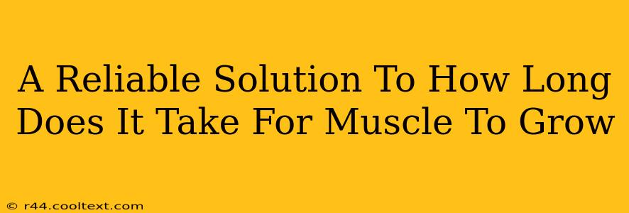 A Reliable Solution To How Long Does It Take For Muscle To Grow