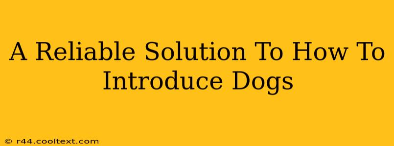 A Reliable Solution To How To Introduce Dogs